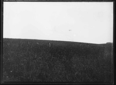 Archived Images\Photo images\Phd\7001P-7500P\7315P.jpg; 7315P; ;